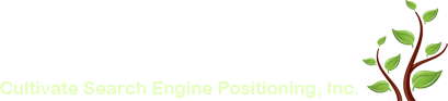 Search Engine Optimization Consultant Mike Farley